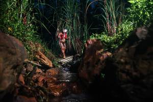 BIB: 
                            <button type="button" onclick="openModal(26415538)" class="btn btn-primary btn-sm float-right btn-popup" data-toggle="modal" data-target=".modal-high-quality">
                        <i class="fas fa-shopping-cart"></i> Add to Cart
                    </button>
                                            <button type="button" onclick="isThisMe(26415538, true)" class="btn btn-success btn-sm float-right btn-popup btn-isme hidden" data-toggle="tooltip" data-placement="bottom" title="นี่คือรูปของคุณใช่ไหม คลิกที่นี่เพื่อเอาเข้าอัลบั้ม">
                        <i class="fas fa-plus"></i> Add to album
                    </button>
                    <button type="button" onclick="isThisMe(26415538, false)" class="btn btn-warning btn-sm float-right btn-popup btn-isnotme hidden">
                        <i class="fas fa-ban"></i> Remove from album
                    </button>